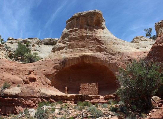 Canyons Of The Ancients Saddlehorn Pueblo