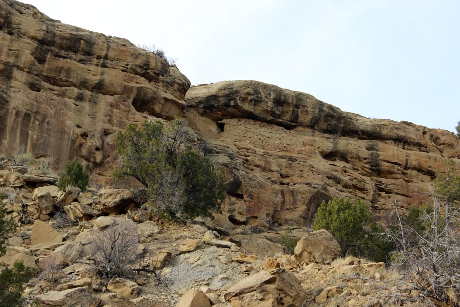 Rincon Rockshelter Pueblito