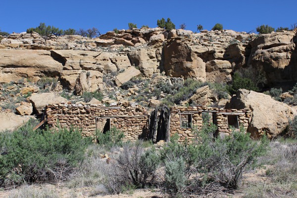 Margarita Martinez Homestead