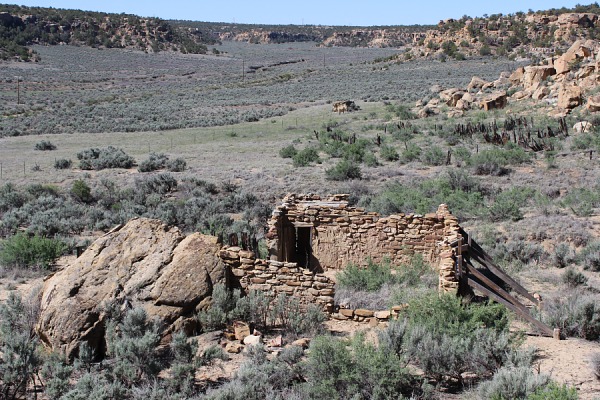 Margarita Martinez Homestead