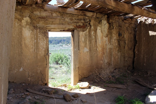 Margarita Martinez Homestead