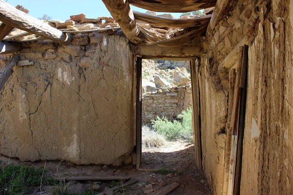 Margarita Martinez Homestead