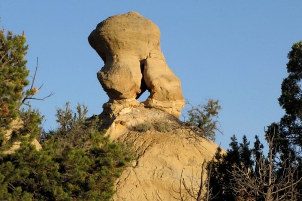 Lion Dog Arch