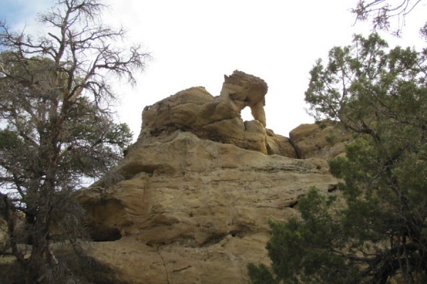 NM-639