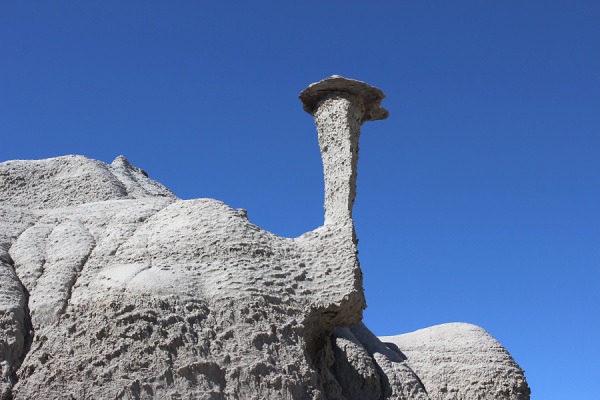 Bent Neck Hoodoo