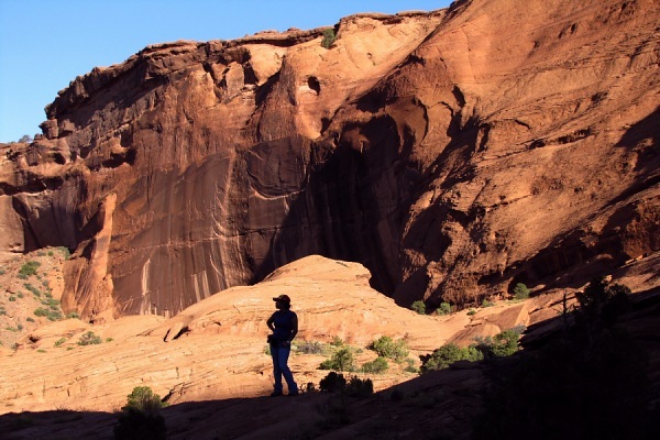 Bare Rock Trail