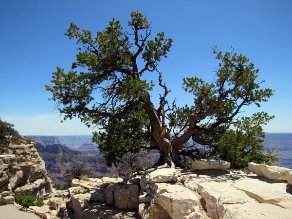 Grand Canyon