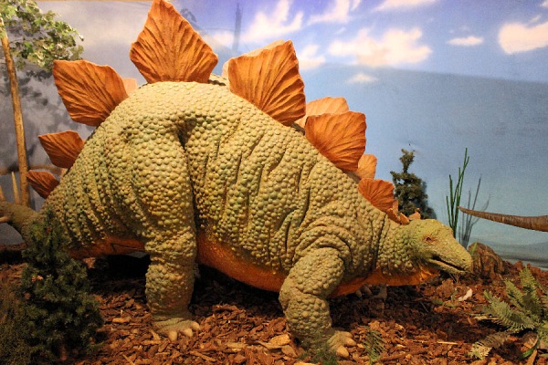 Stegosaurus