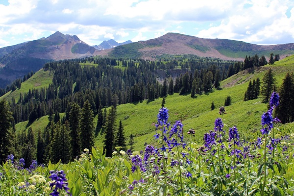 La Plata Canyon