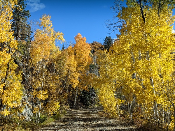 Potato Lake Trail