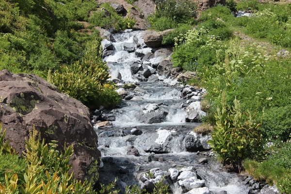 Ice Lake Trail