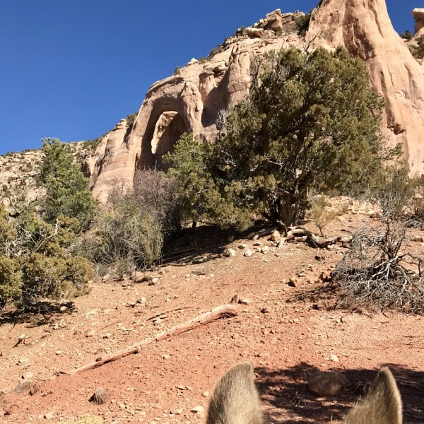 East Fork Canyon