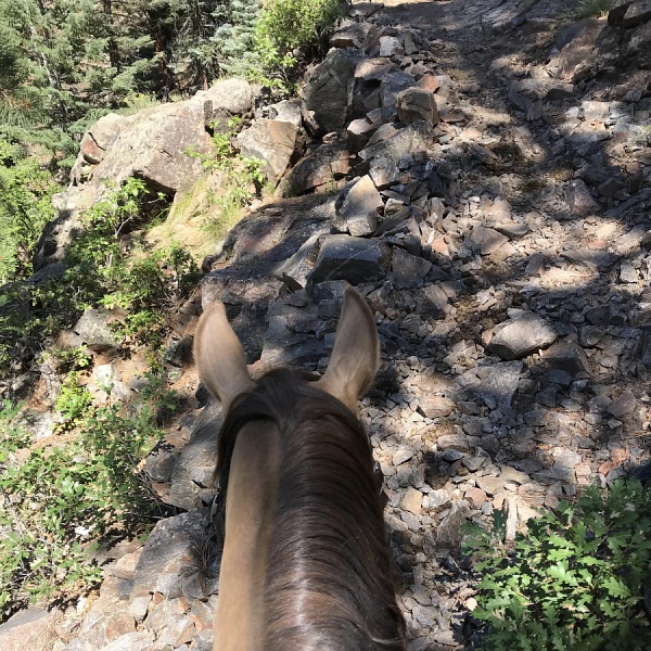 Haviland Lake Trail