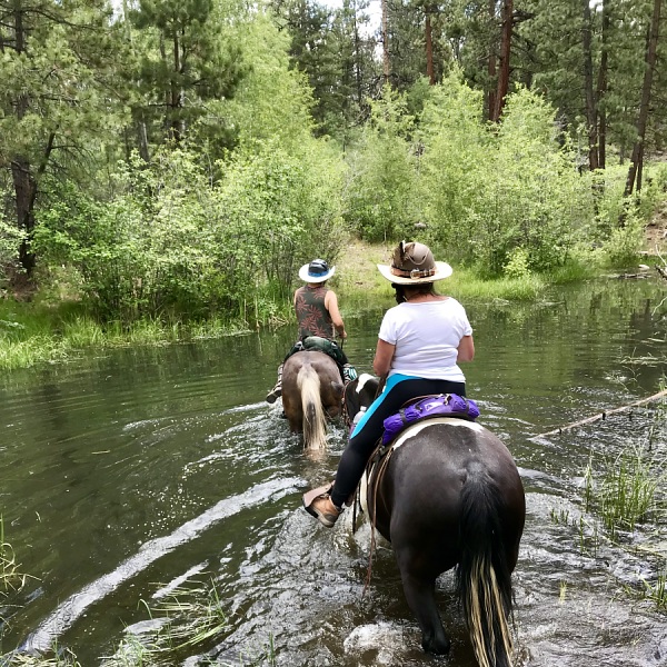 Haviland Lake Trail