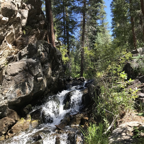 Haviland Lake Trail