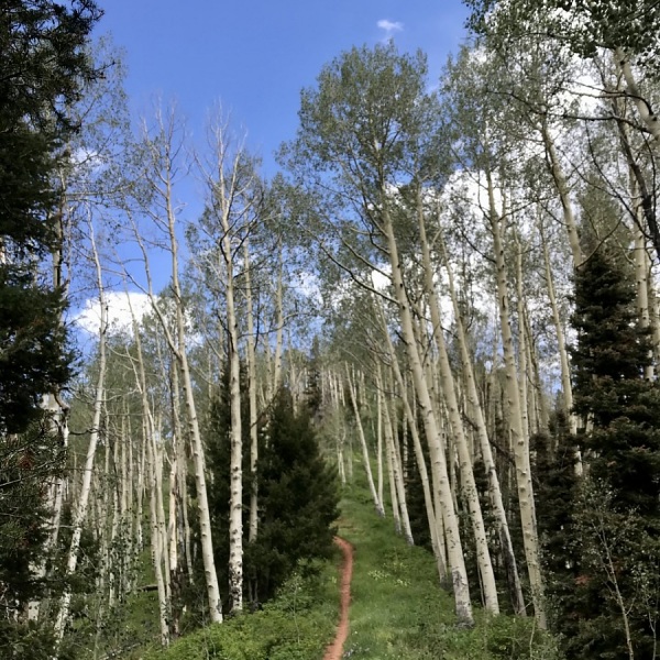 Haviland Lake Trail