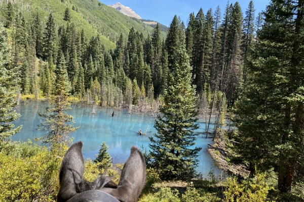 Beaver Pond, Hesperus Peak in Background