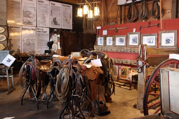 Ouray County Ranch History Museum