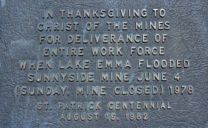 Plaque