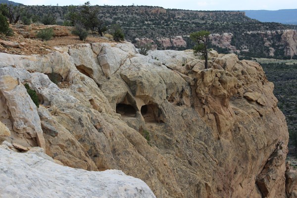 Owl's Eyes Arch