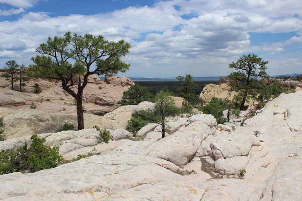 Sandstone Bluffs