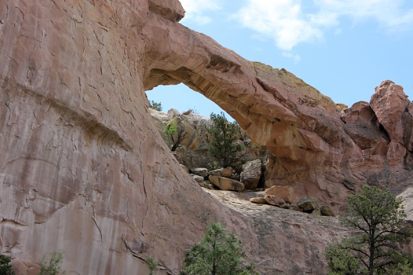 Swift Arch