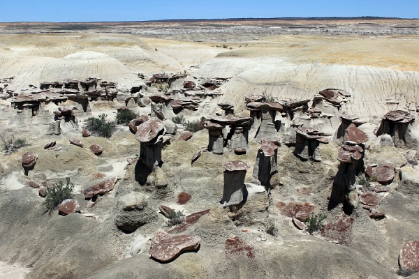 Chocolate Mushrooms Hoodoos