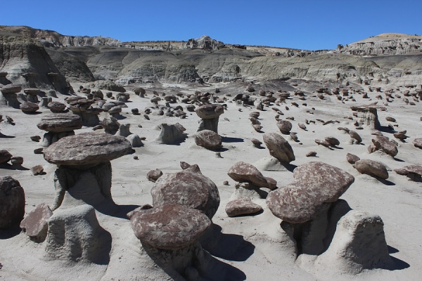 Rock Garden