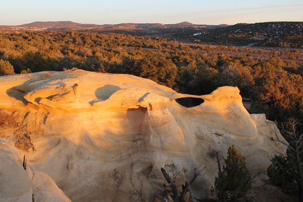 Alien Run Arch