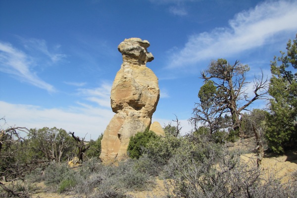 Hart Canyon Hoodoo