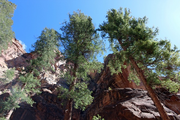 Ghost Ranch