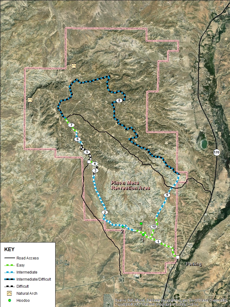 Pinon Mesa Mountain Bike Trails