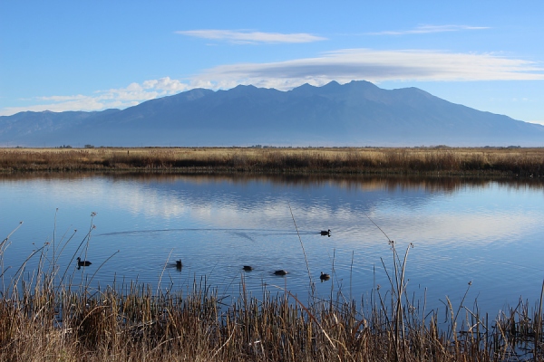 Alamosa National Wildlife Refuge