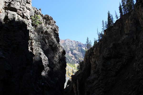 South Fork Animas River