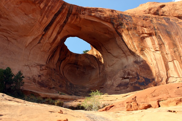 Bowtie Arch