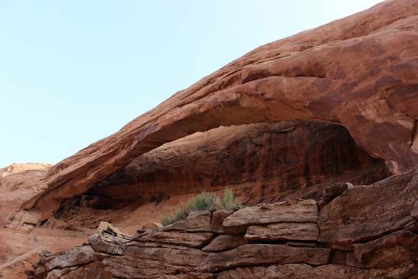 Long Bow Arch