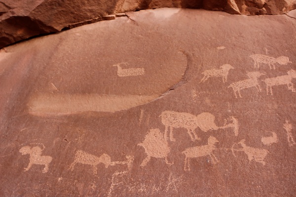 Poison Spider Petroglyphs