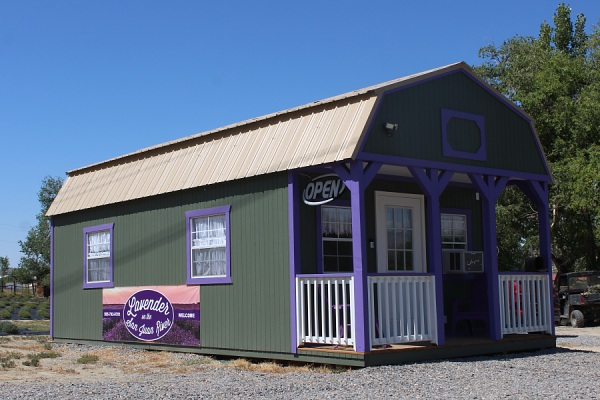 Lavender On The San Juan River