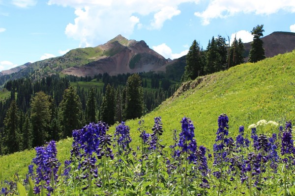 La Plata Canyon