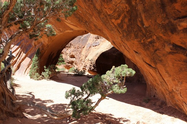 Navajo Arch