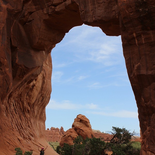 Pine Tree Arch