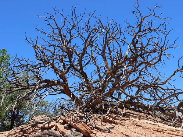 Canyonlands