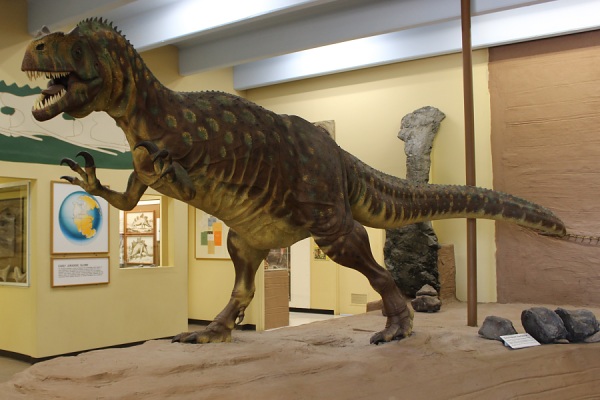 Dinosaur Museum