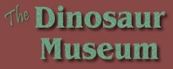 The Dinosaur Museum