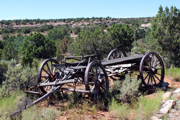 Pioneer Wagon