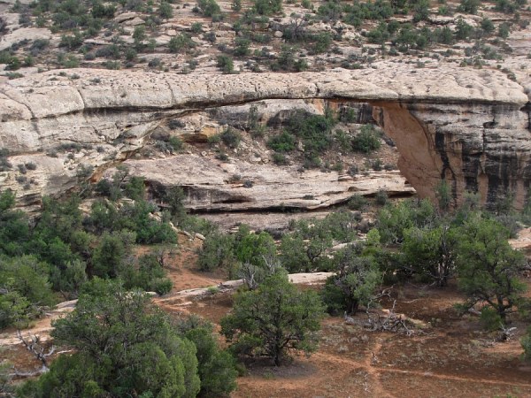 Natural Bridges