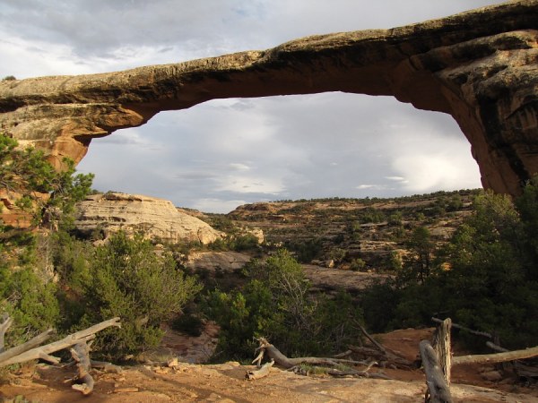 Natural Bridges