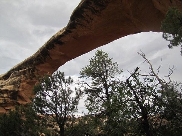 Natural Bridges