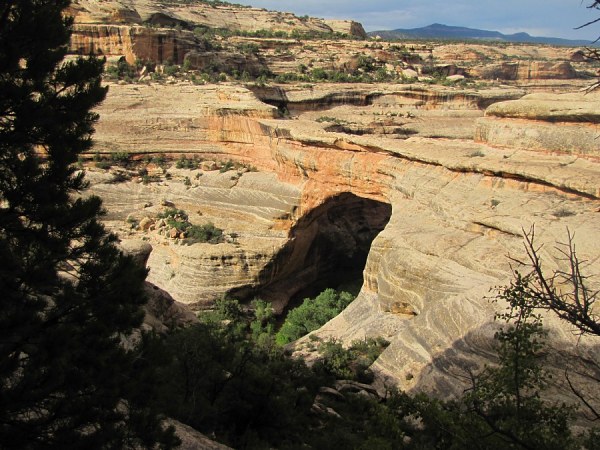 Natural Bridges