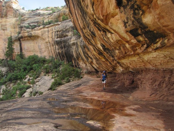 Natural Bridges